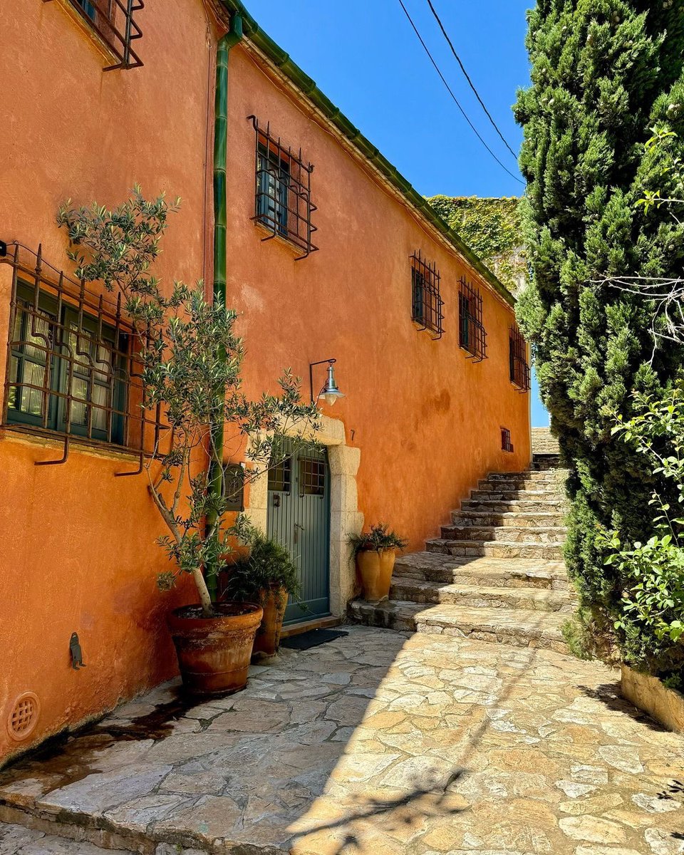 vistaaura tweet media