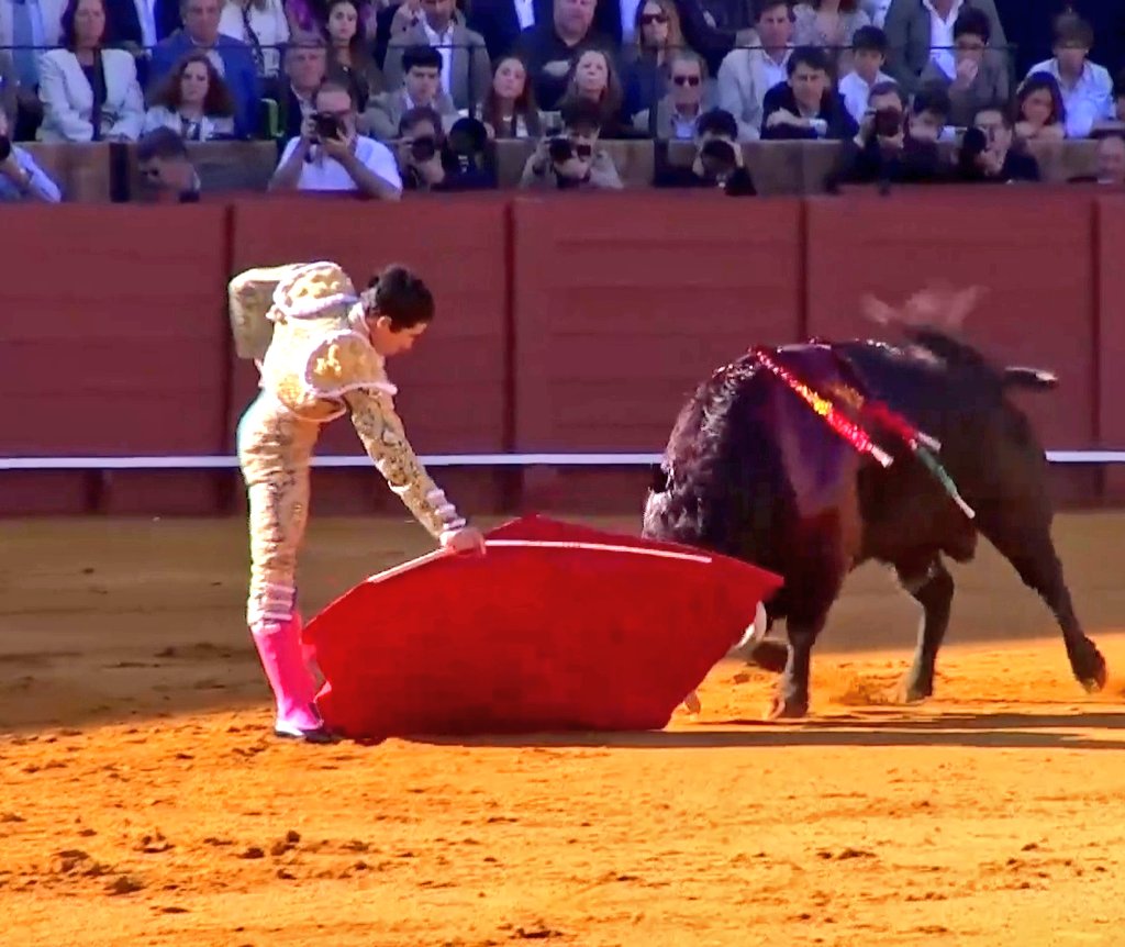 Seisyelsobrero tweet media