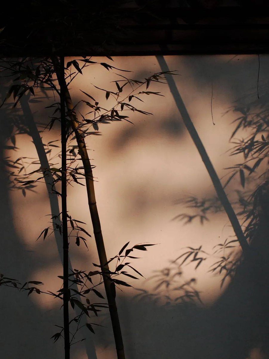 sherif said tweet media