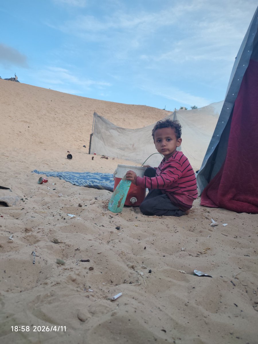 NasrPro.Gaza 🇵🇸 tweet media