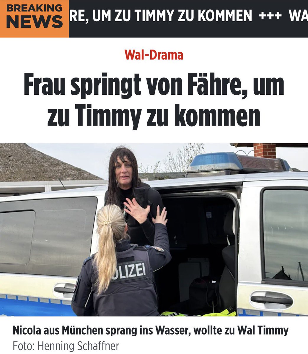 Heimatgefühl tweet media