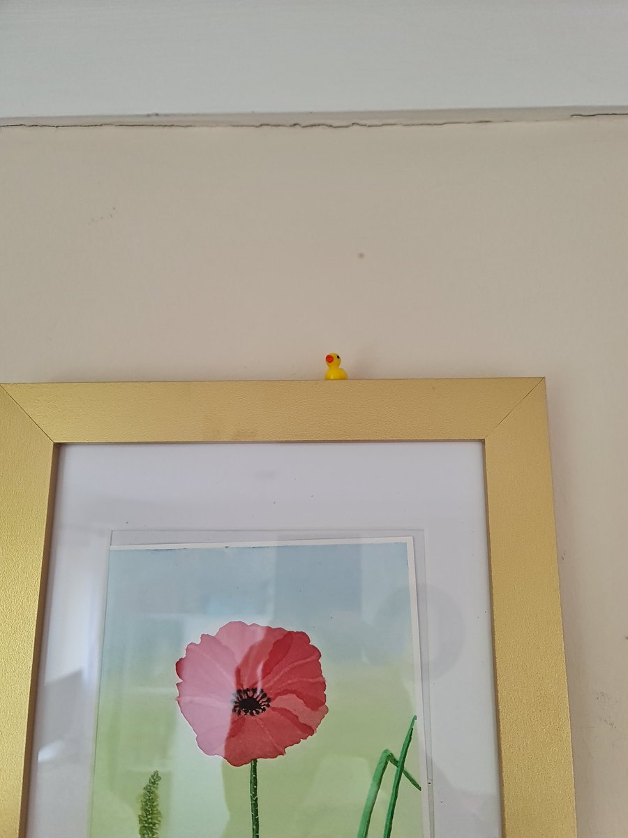 EmmaJane tweet media