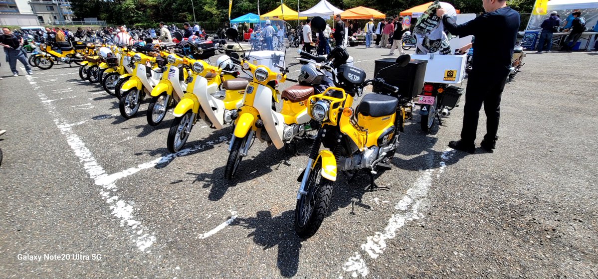 ふなこっこ。 tweet media