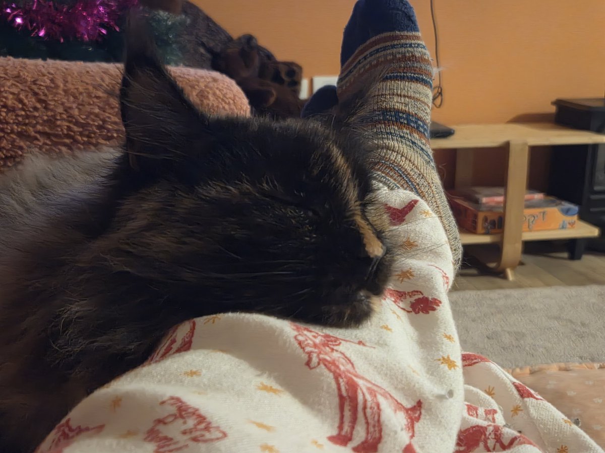 albrecht 'הבת' fish tweet media