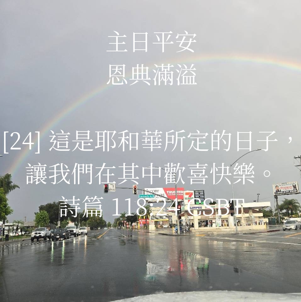 Xfreeman tweet media