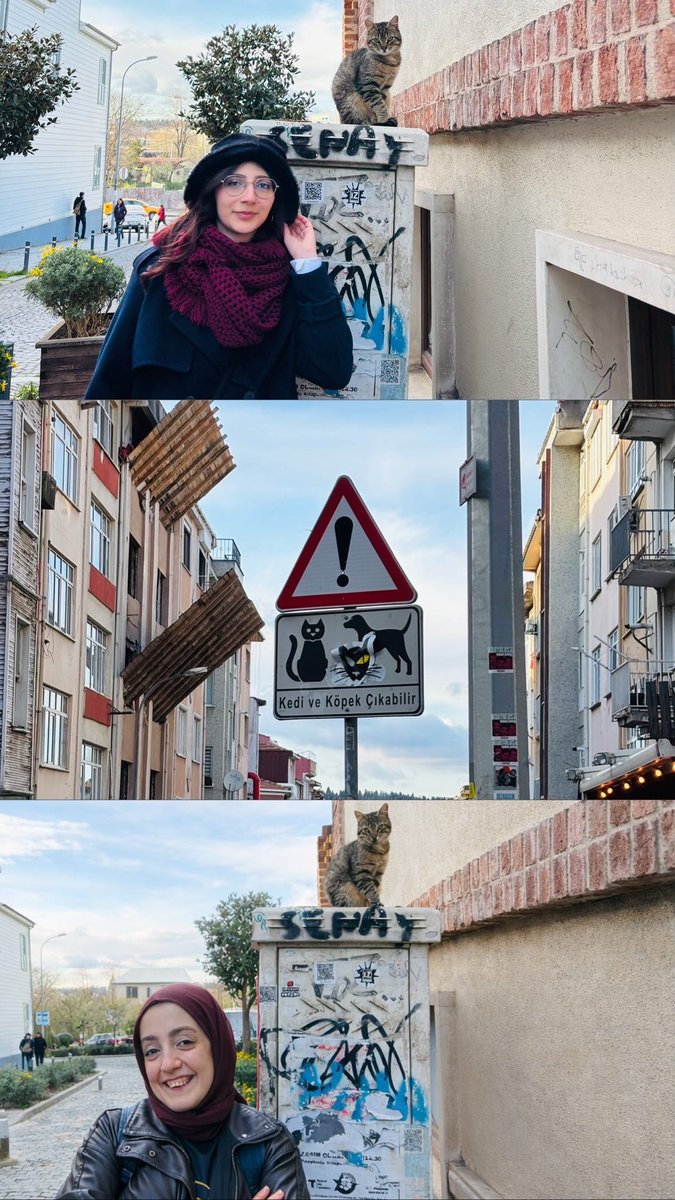 a bett film tweet media