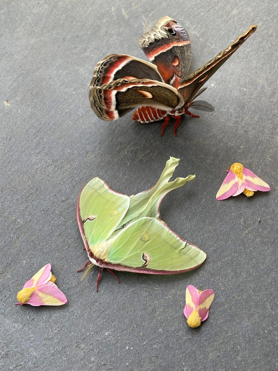 𝕁𝕁 tweet media