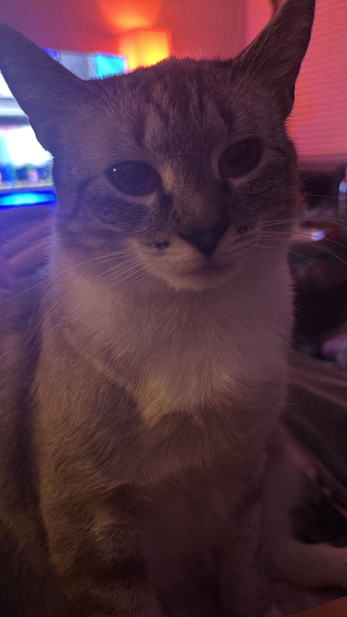 Sofi ㊝✪ tweet media