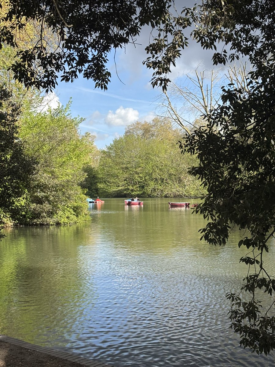 Matty Hayward tweet media