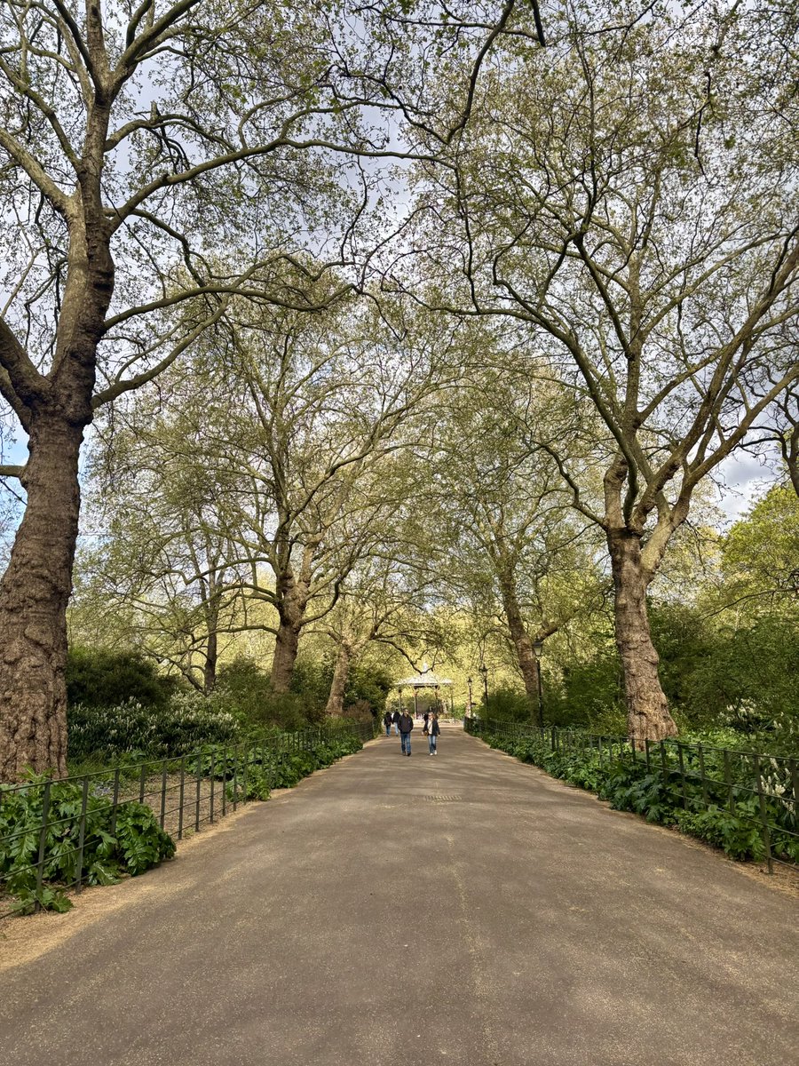 Matty Hayward tweet media