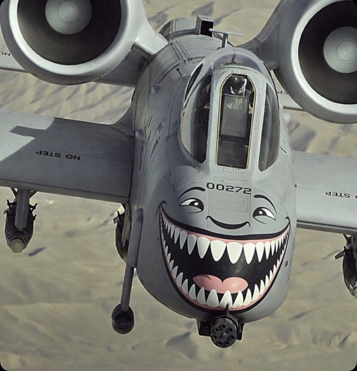 Bridge،،🇸🇦 tweet media