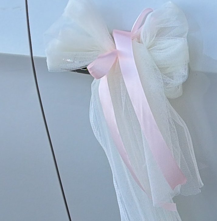 جسّار tweet media