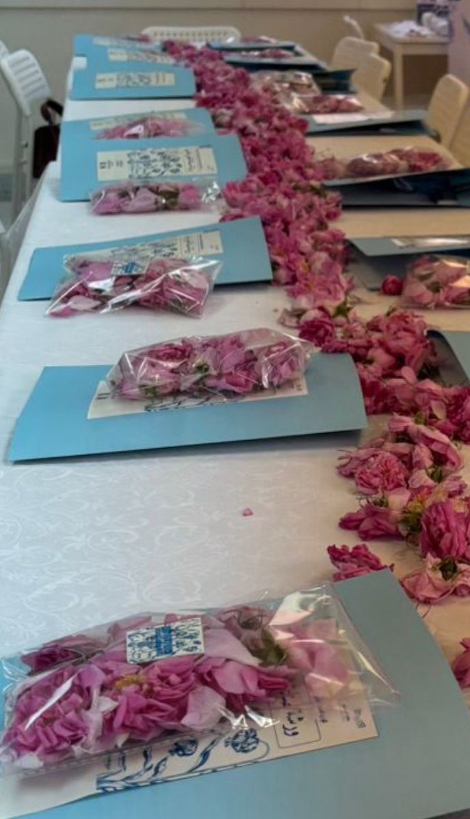 إدارة تعليم الطائف tweet media