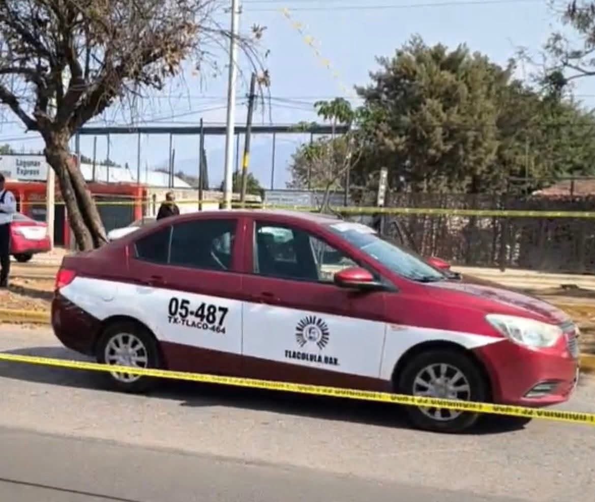 MVM Noticias tweet media