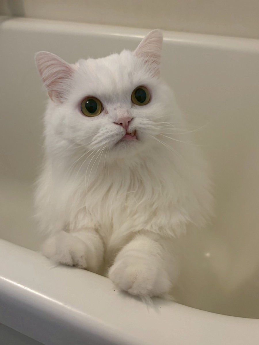 健ちゃん!!! tweet media