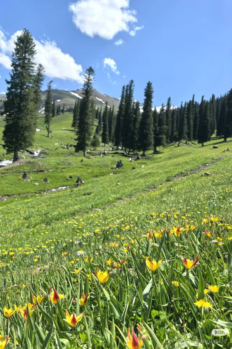 Рудая Ольга tweet media