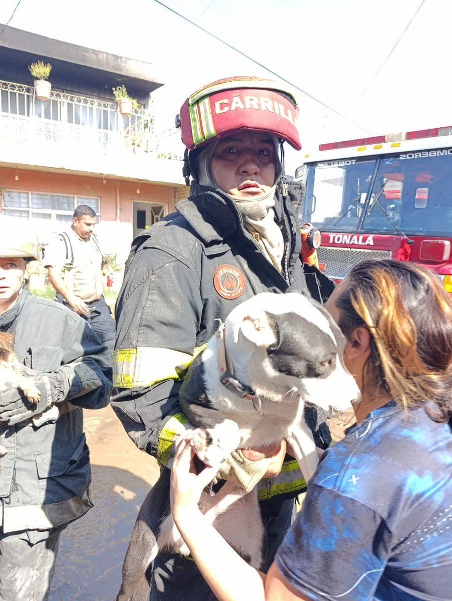 Héctor Escamilla tweet media