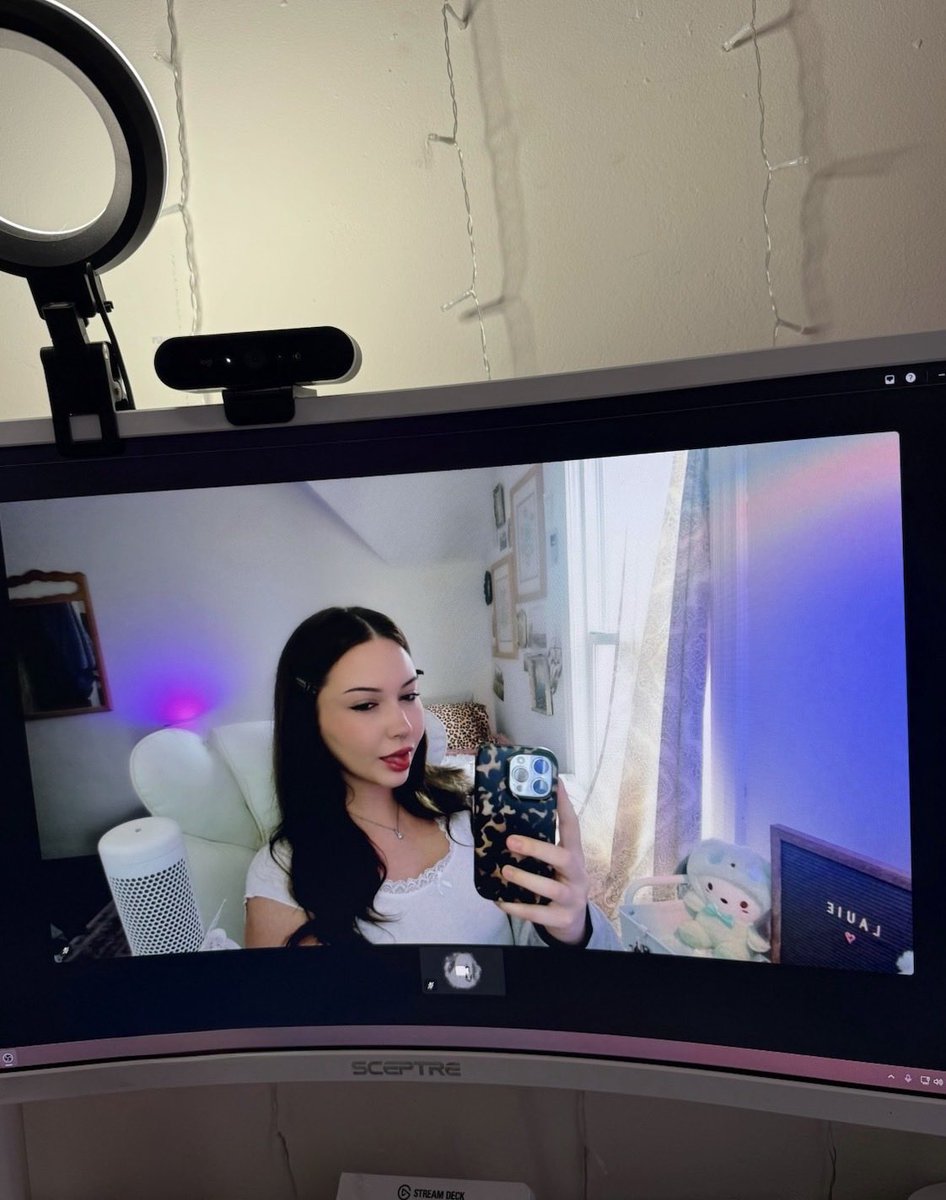 lauie ୨୧ tweet media