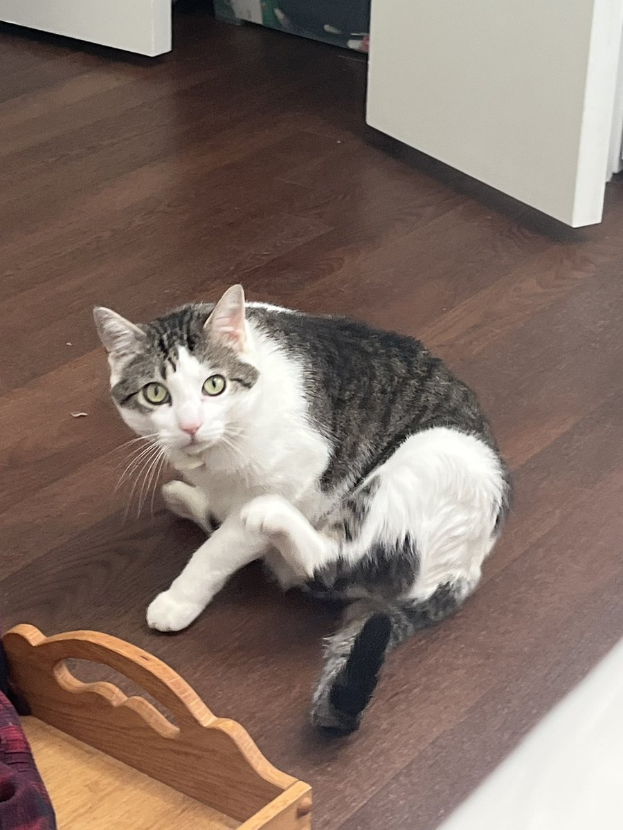 chance1084059's tweet image. #SUNDAY 💞🥯🎹🎶🎼🎵🎵