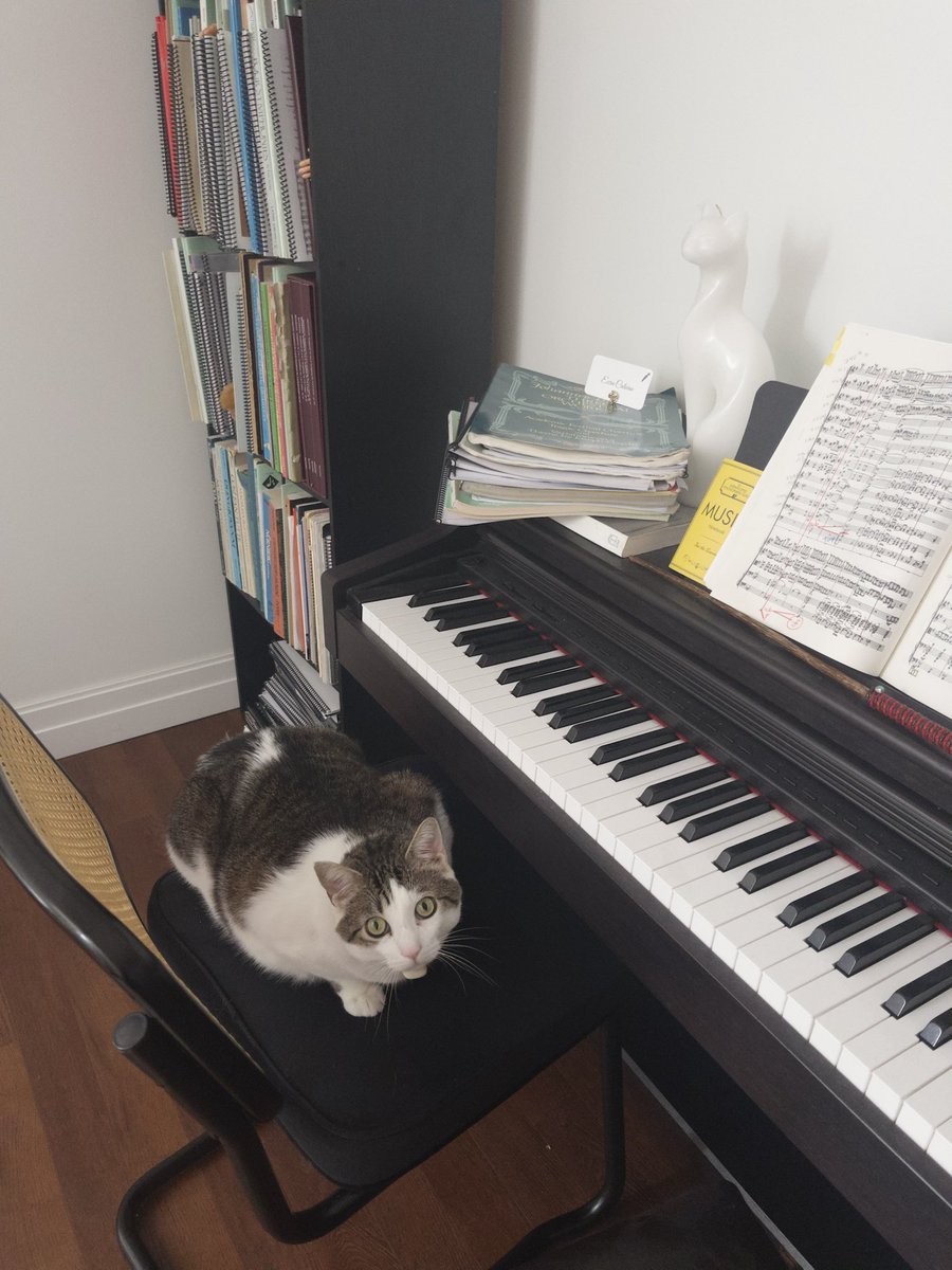 chance1084059's tweet image. #SUNDAY 💞🥯🎹🎶🎼🎵🎵