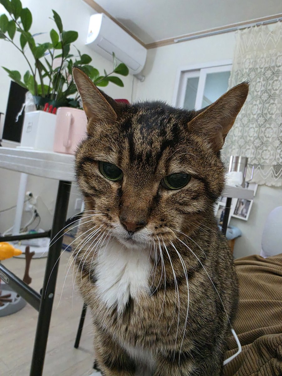 김지양 tweet media