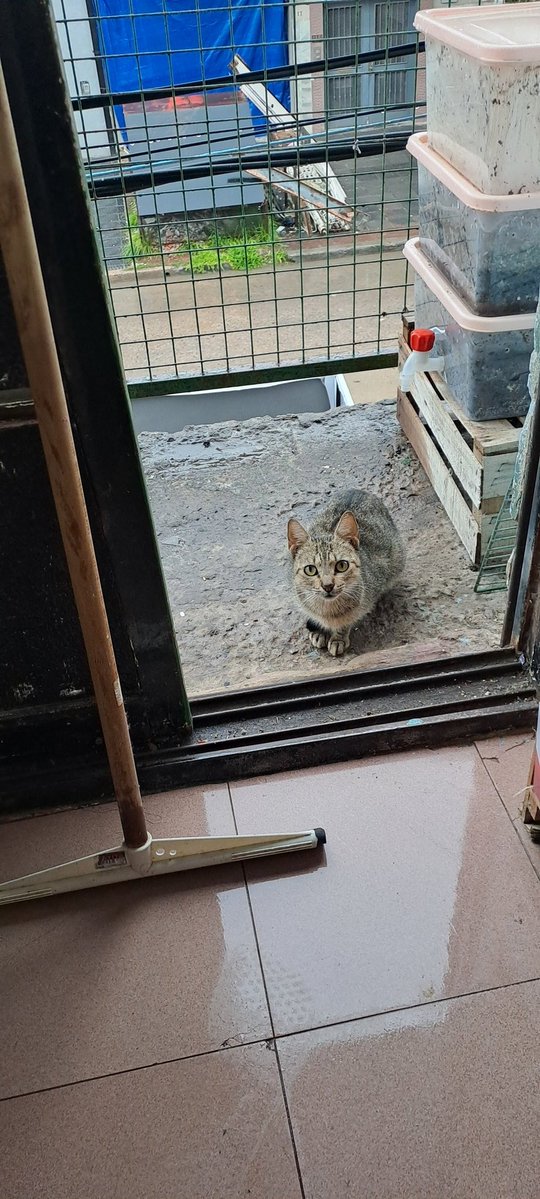 𝓥𝓪𝓵𝓮𝓻𝓲𝓪 🌸 tweet media