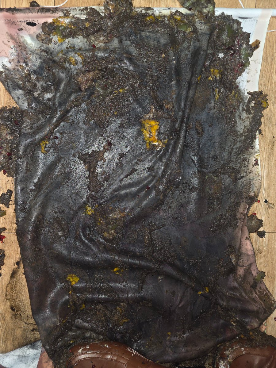 Cathy Crues tweet media