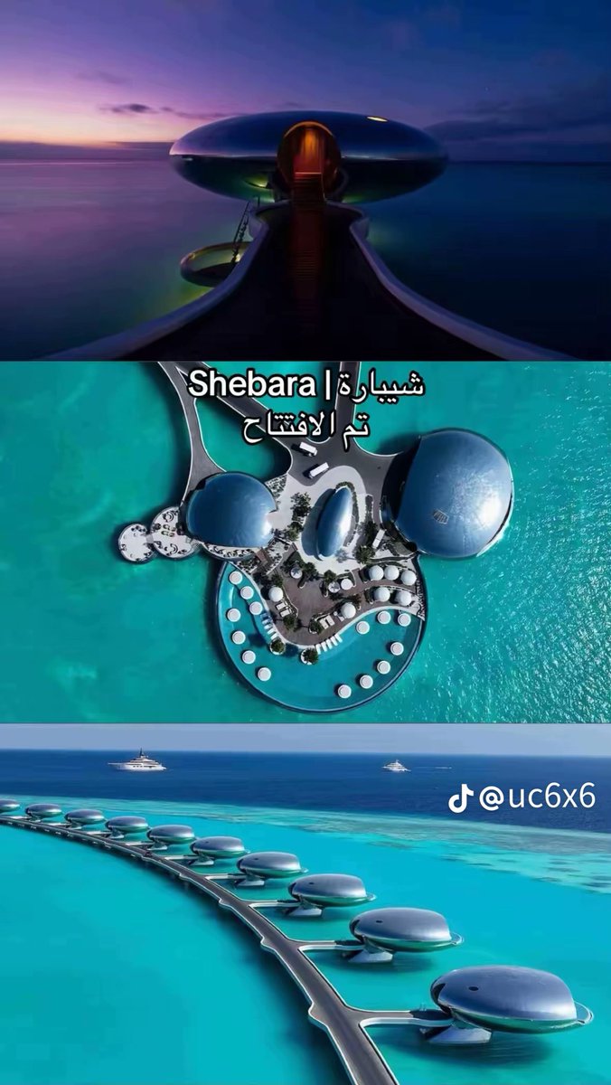 العـنود الدغيثر 🦢✨ tweet media