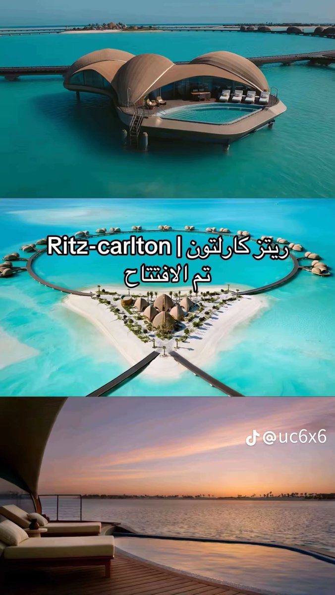 العـنود الدغيثر 🦢✨ tweet media