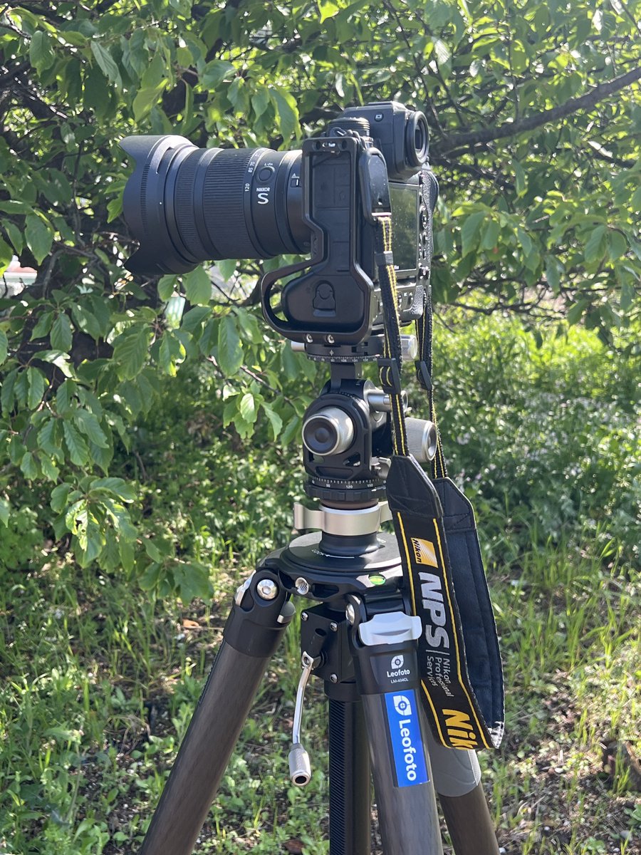 河野英喜 tweet media