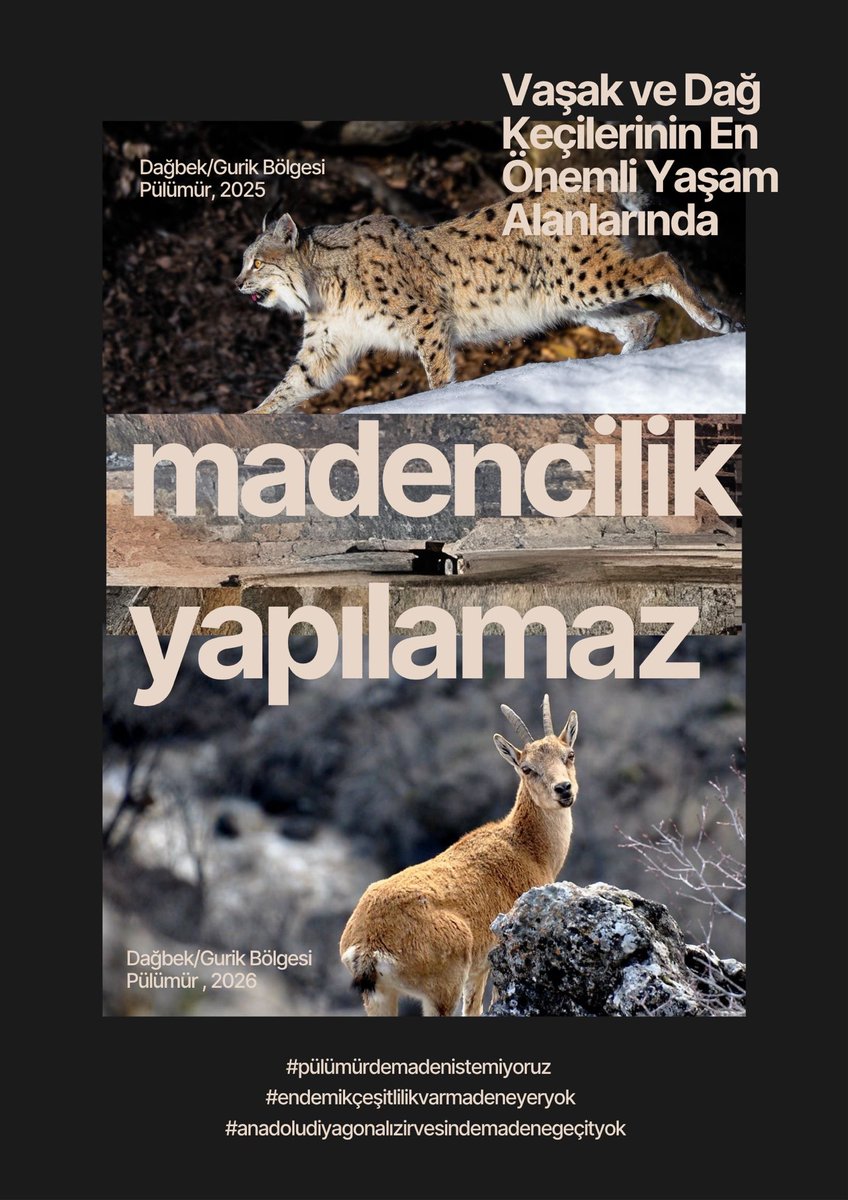 Pulumurdedoga's tweet photo. Koruma altındaki dağ keçisinin  yaşam alanlarında Madencilik olur mu? #pülümürdemadenistemiyoruz @cbsgovtr https://t.co/ssQ7YOOTZI