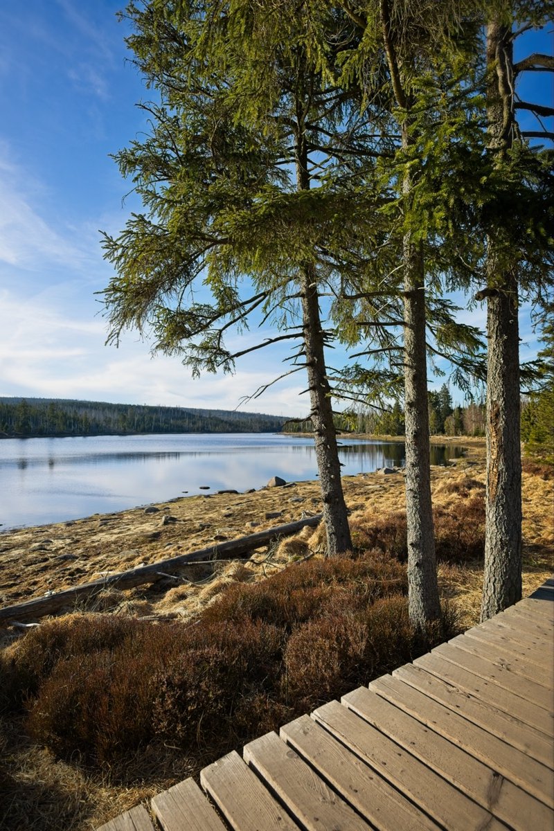 mikeahrens_'s tweet photo. #oderteich #harz #wandern https://t.co/Eaomg46ZmZ