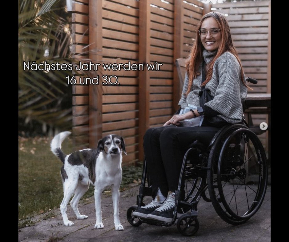 SPINALpedia's tweet image. Amelie Ebner, a paraplegic from Germany, has been paralyzed since 17.  Here she is with her beloved fur baby who she has had longer than she has has lived with out them.

instagram.com/amelieebner/

#doglife #spinalcordinjury #wheelchairuser