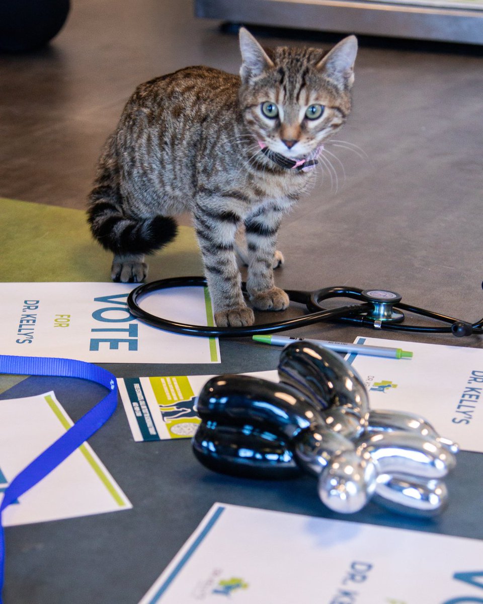 Dr. Kelly's Surgical Unit tweet media