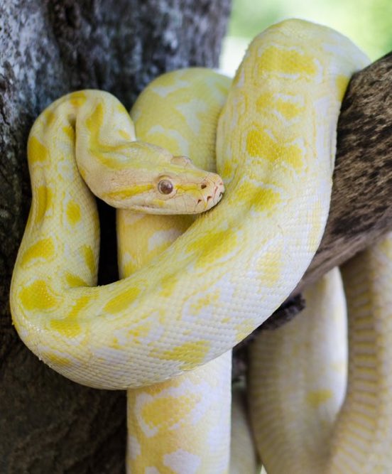 Daily Loud tweet media