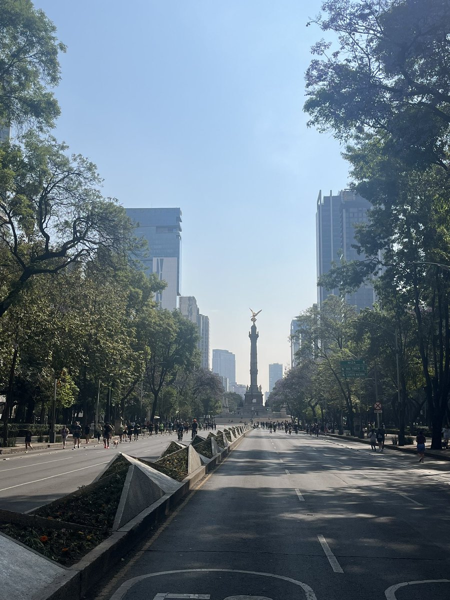 Fernando Ábrego Camarillo tweet media