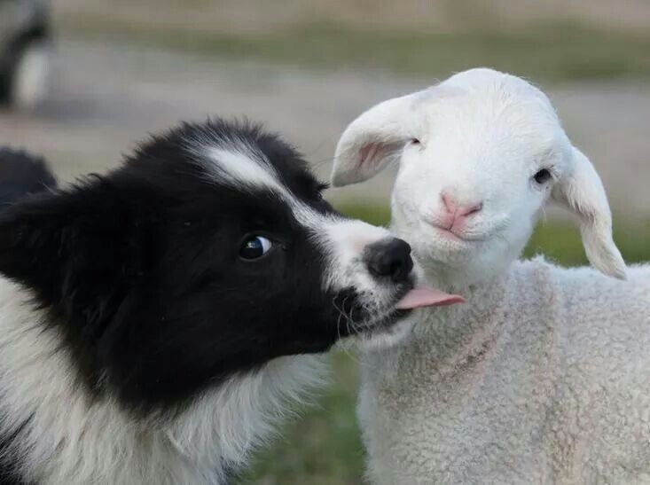 ݁ ˖Ი𐑼⋆Heather *.❤︎₊ tweet media