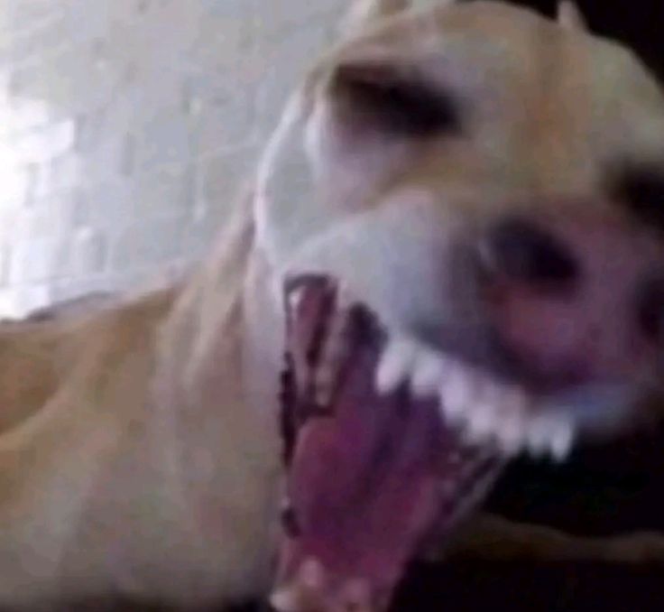 nyx ⚡︎ 🧙🏻♀️ tweet media