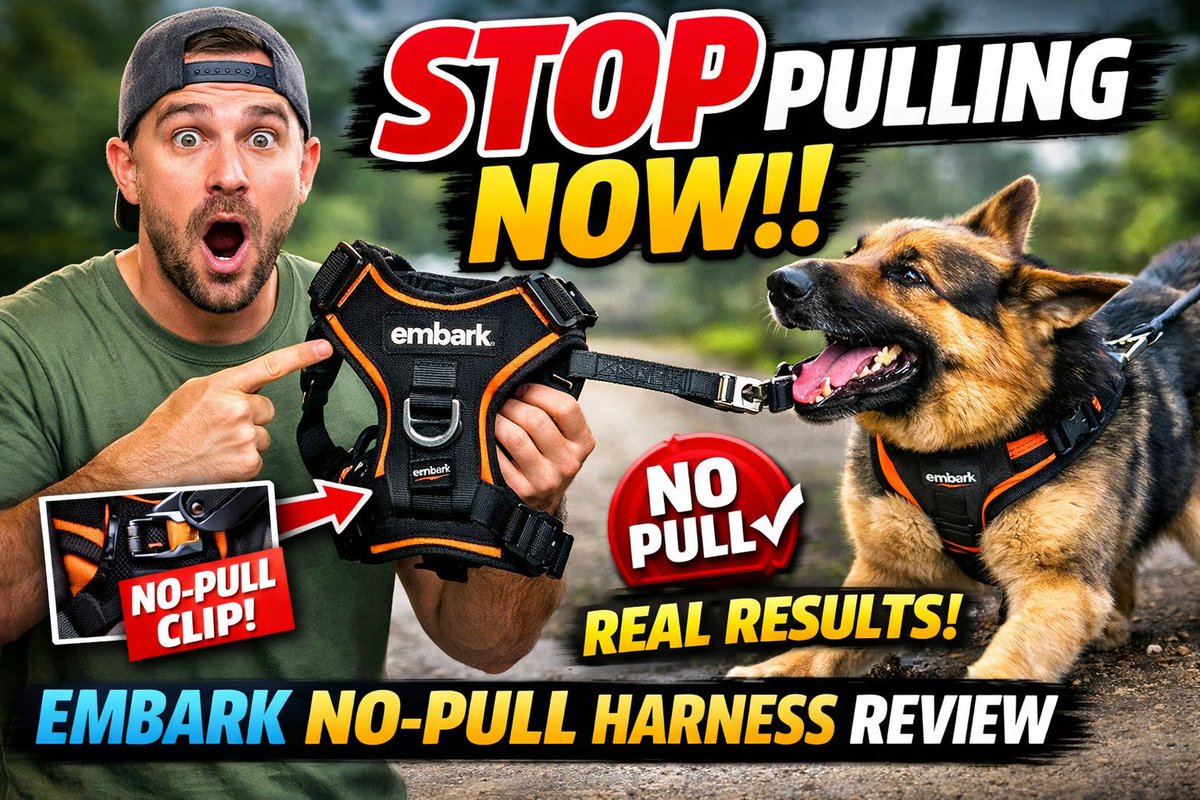 Protect Your Dog’s Neck – Switch to This Harness Today
youtu.be/aIt32Jqi07g?si…
#dogmomlife #dogmantwt #dogiyai #petlover