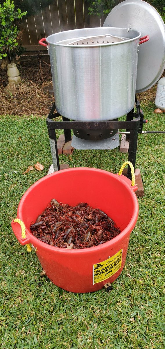 HTownAstro713 tweet media