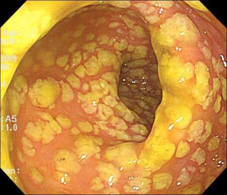 Modern Health tweet media