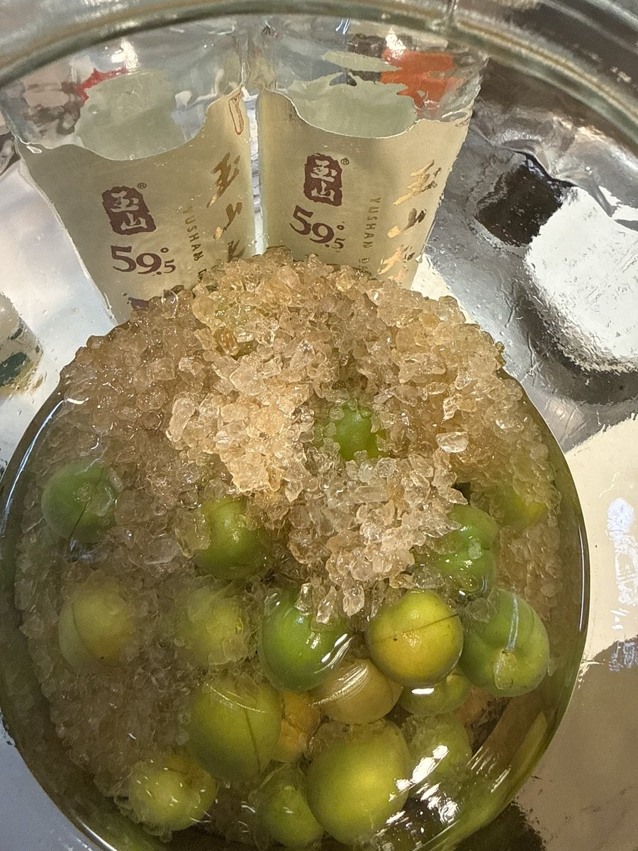 我是貓😽我是一隻貓 tweet media