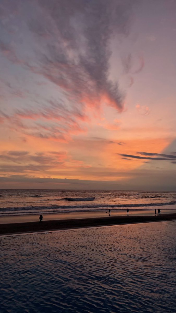 northXwarrior tweet media