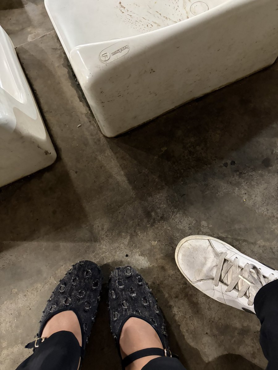 َ 𝜗𝜚 tweet media