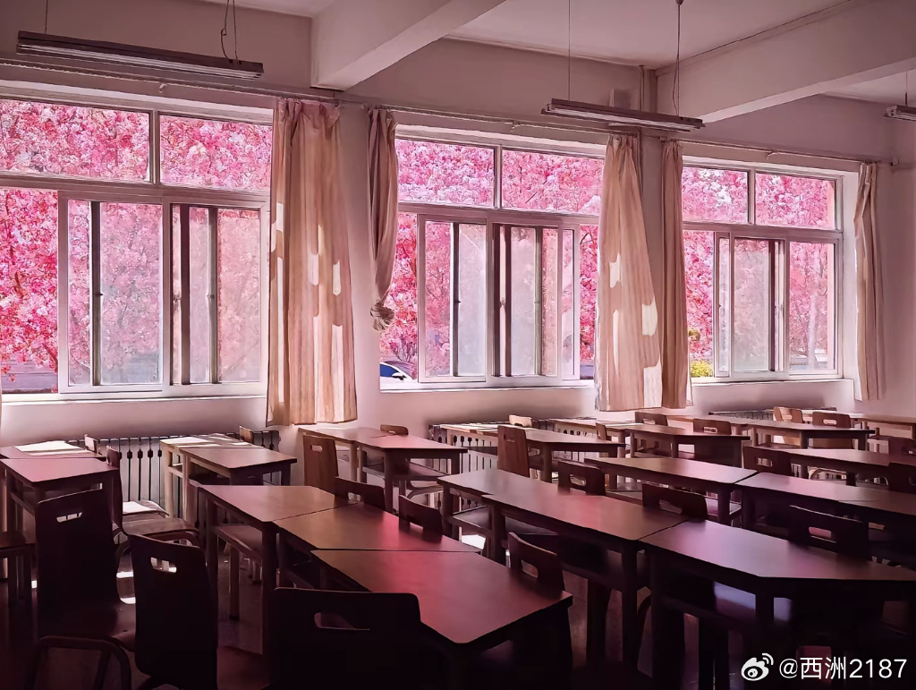 Gary Collier tweet media