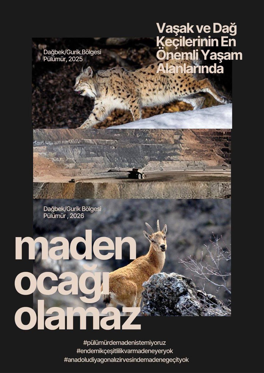 UMUT-SEN tweet media