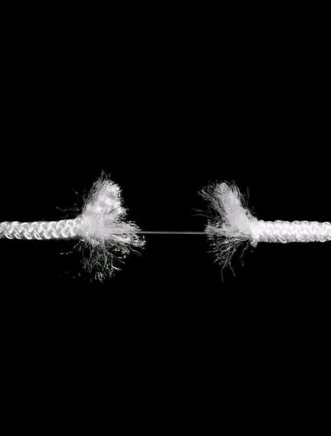 Daπiel.F tweet media