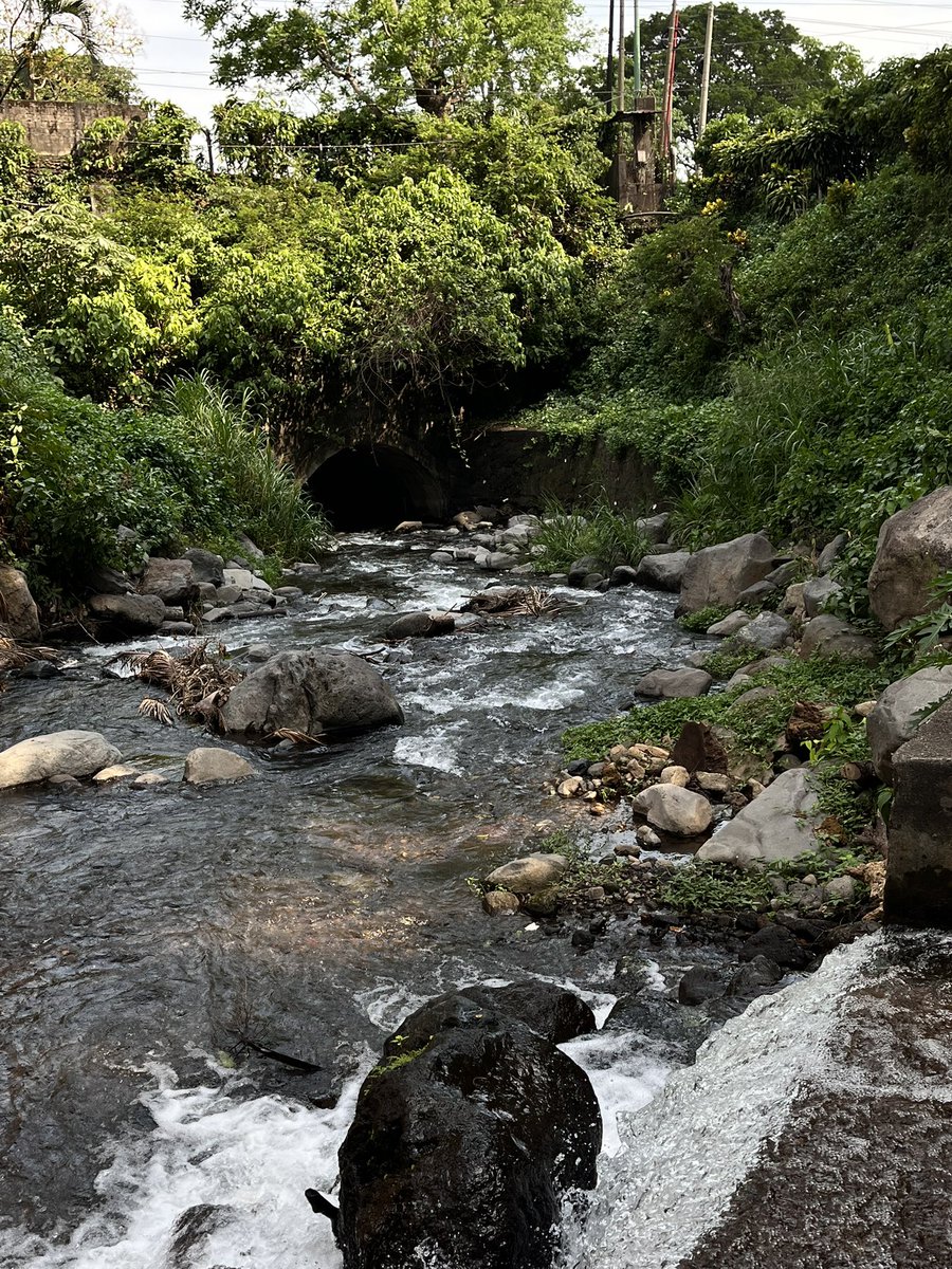 are you there, god? it’s me, betza tweet media