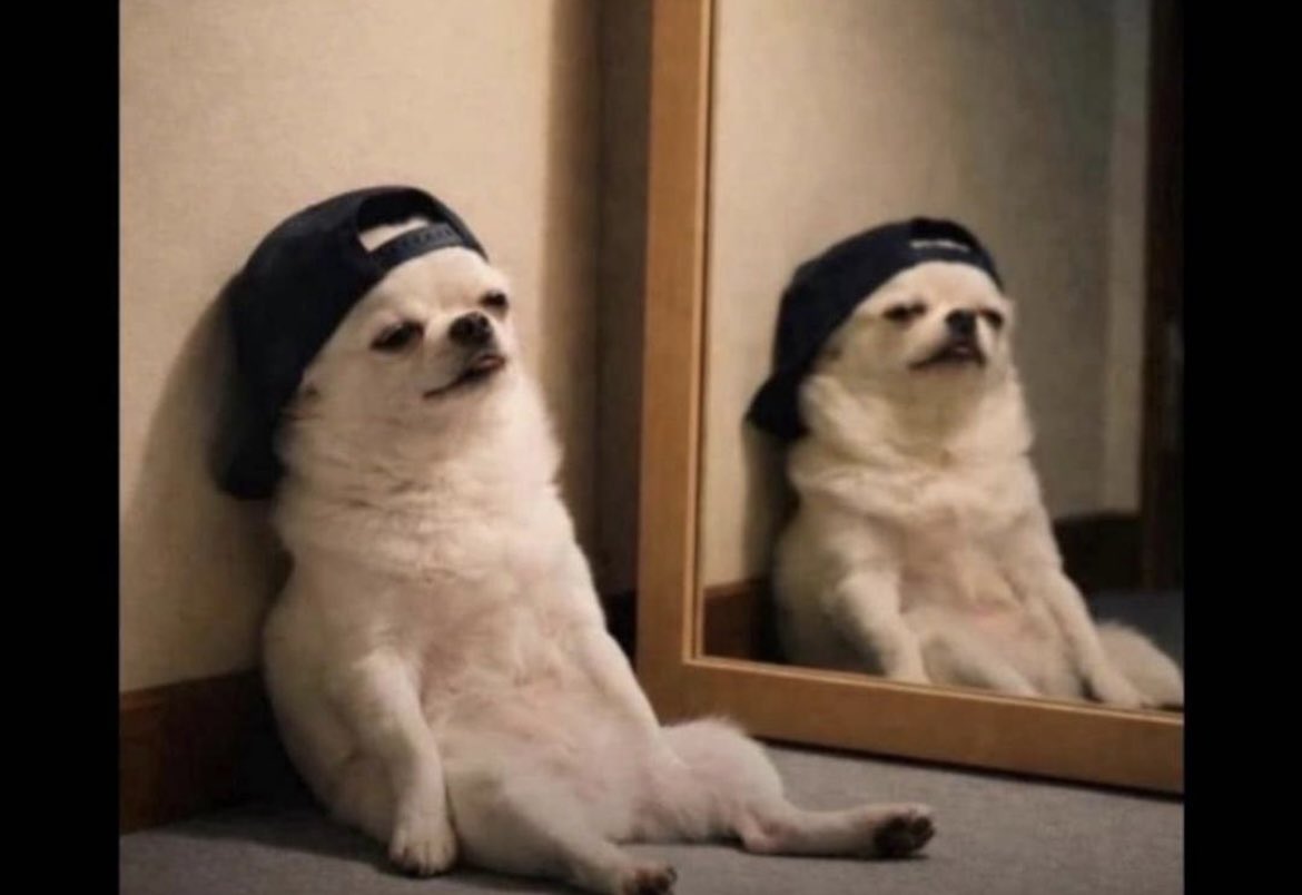 Amazing 🇨🇦🇬🇭 tweet media