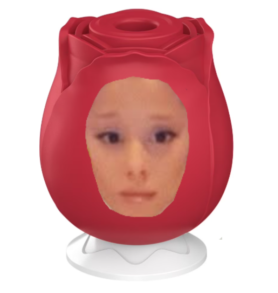 internet celebrity tweet media